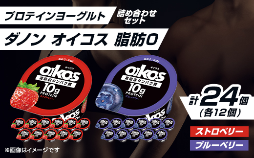 ダノン オイコス 脂肪0 2種詰め合わせセット(ブルーベリー12個・ストロベリー12個)【配送不可地域：離島・沖縄県】【1565573】