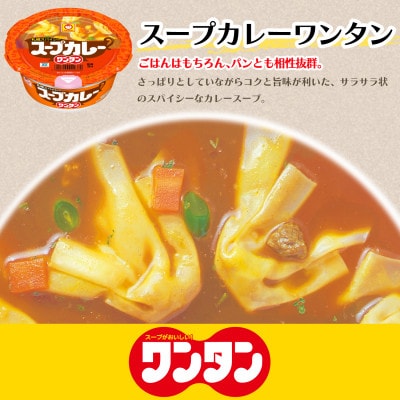 スープカレー　ワンタン　12食【1579865】