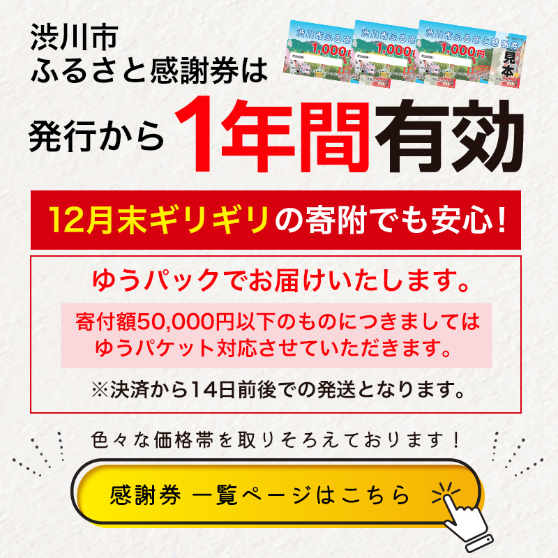 渋川市ふるさと感謝券 3,000円分（1,000円×3枚） 伊香保温泉 うどん 宿泊 旅行 観光 ホテル 旅館 トラベル 飲食 お土産 F4H-0058