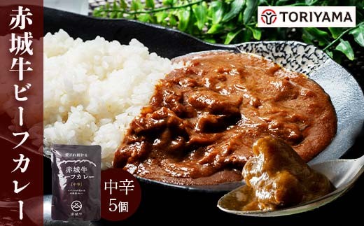 赤城牛 ビーフカレー（中辛）200g×5個 《ご当地レトルトカレーランキング全国第3位受賞》カレー レトルト 牛肉 銘柄牛 赤城牛 長期保存 群馬 渋川市  F4H-0827