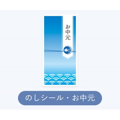 【お中元・のし付】P&Gアリエールジェルボールプロ洗濯洗剤ギフトセット　14粒入×6箱(合計84粒)【1733967】