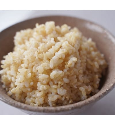 有機こしひかり【玄米】500g×6袋【1709186】