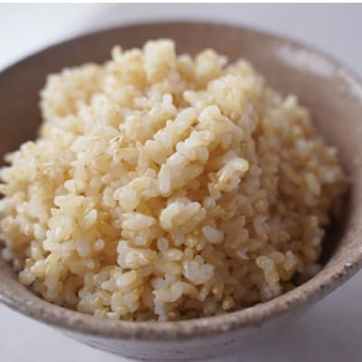 有機こしひかり【玄米】500g×20袋(令和7年産)【1709191】