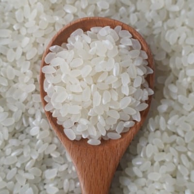 有機こしひかり白米450g×20袋(令和7年産)【1709190】