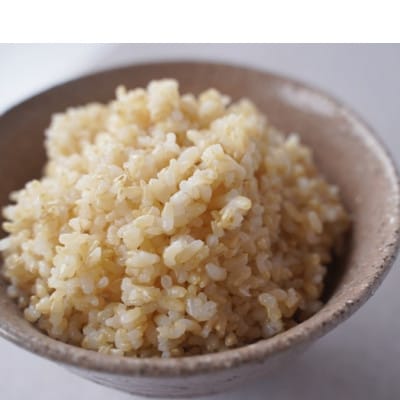 有機こしひかり【玄米】500g×12袋(令和7年産)【1709189】