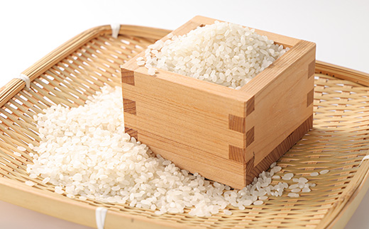 【令和7年産先行受付】農家直送　新米　にじのきらめき　精米5kg(10月下旬以降発送)【1645574】