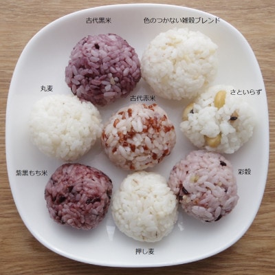 彩りごはん8種セット(米・麦・大豆)【1390164】