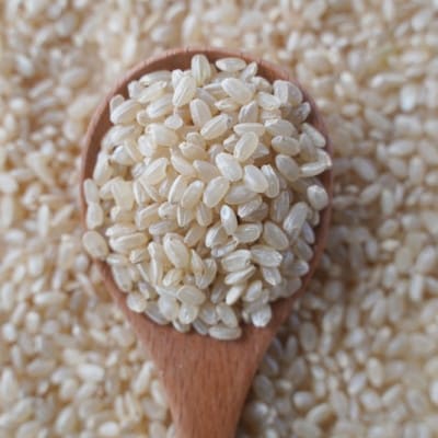 有機こしひかり【玄米】500g×12袋(令和7年産)【1709189】