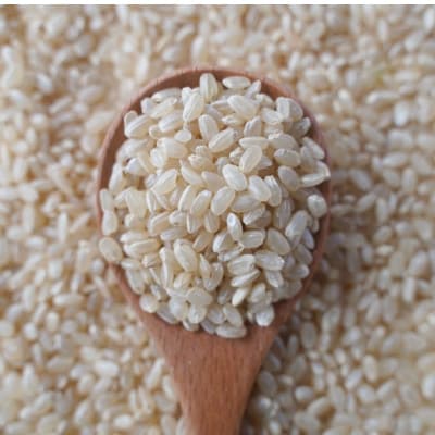 有機こしひかり【玄米】500g×20袋(令和7年産)【1709191】