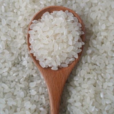 有機こしひかり白米450g×12袋【1709187】