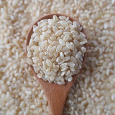 有機こしひかり【玄米】500g×6袋【1709186】