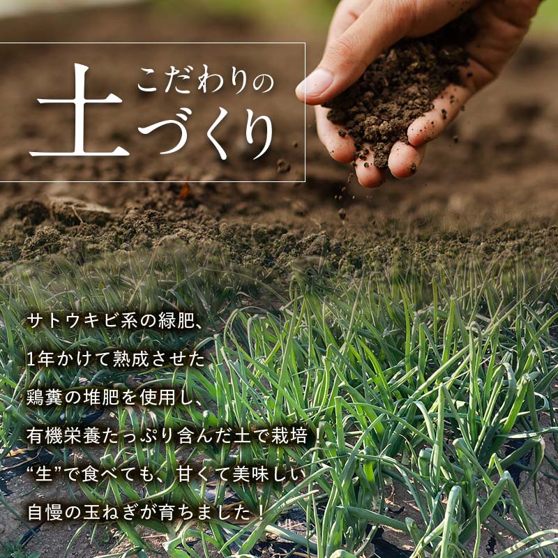 ＜2026年発送 先行予約＞甘すぎる新鮮極早生玉ねぎ 5kg 減農薬減 化学肥料 生食 たまねぎ 玉ねぎ タマネギ 野菜 食品 F21E-465