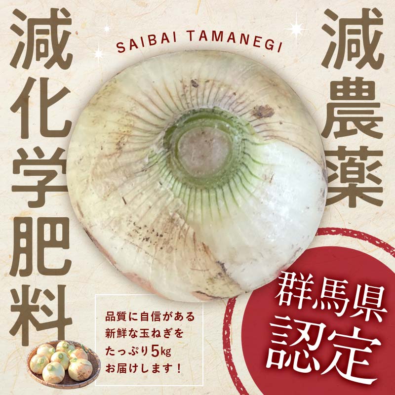 ＜2026年発送 先行予約＞甘すぎる新鮮極早生玉ねぎ 5kg 減農薬減 化学肥料 生食 たまねぎ 玉ねぎ タマネギ 野菜 食品 F21E-465