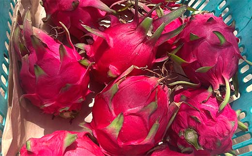 ïŒ2025幎7æäžæ¬ããé æ¬¡çºéïŒ ãã©ãŽã³ãã«ãŒã (1kg) ãã ãã® æç© ãã«ãŒã é£å F20E-514