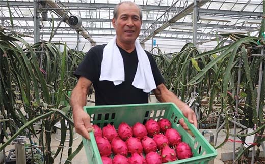 ïŒ2025幎7æäžæ¬ããé æ¬¡çºéïŒ ãã©ãŽã³ãã«ãŒã (1kg) ãã ãã® æç© ãã«ãŒã é£å F20E-514