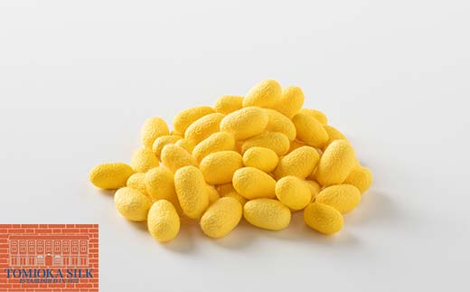 国産富岡シルク 富岡シルク ぐんま黄金 ピローケース 贈り物 ギフト 国産 F21E-416