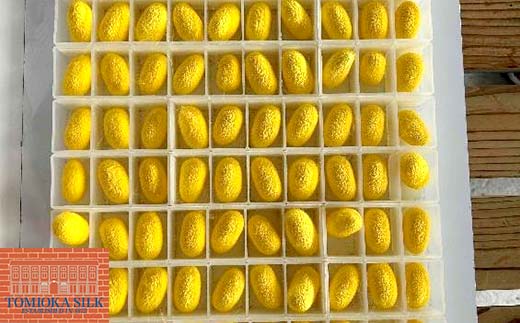 åœç£å¯å²¡ã·ã«ã¯ å¯å²¡ã·ã«ã¯ ãããŸé»é ããã¯ã¹ã·ãŒã èŽãç© ã®ãã åœç£ F21E-417