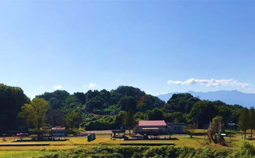 クレー射撃ラウンド券(2ラウンド クレー50枚)×4枚 F21E-421