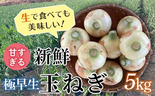 ＜2026年発送 先行予約＞甘すぎる新鮮極早生玉ねぎ 5kg 減農薬減 化学肥料 生食 たまねぎ 玉ねぎ タマネギ 野菜 食品 F21E-465