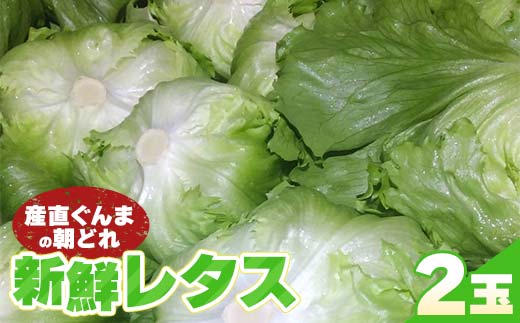 産直ぐんまの朝どれ 新鮮レタス 300g以上×2個 F21E-491