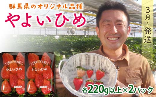 群馬県産いちごセット＜やよいひめ2パック＞【2026年3月1日～5月15日発送】(各220g以上×2パック) いちご やよいひめ 群馬県産 オリジナル品種 苺 イチゴ セット 詰合せ 果物 フルーツ 食品 F21E-494