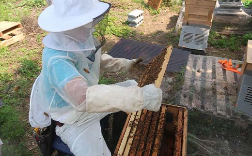縺。繧縺」縺ィ雍豐「縺ェ逕溘ッ縺。縺ソ縺、(轣ォ蜈・繧後↑縺) 繧「繧ォ繧キ繧「 F21E-519