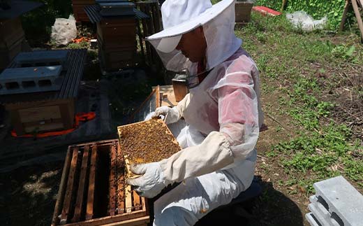 縺。繧縺」縺ィ雍豐「縺ェ逕溘ッ縺。縺ソ縺、(轣ォ蜈・繧後↑縺) 繧「繧ォ繧キ繧「 F21E-519