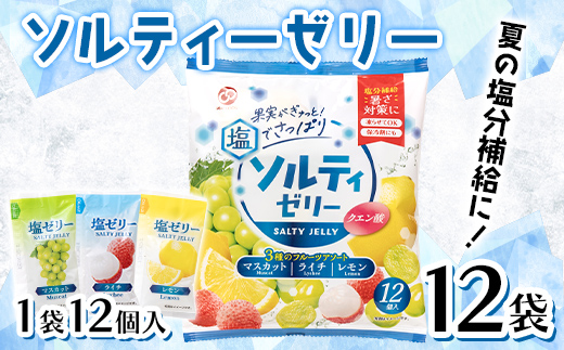 【夏季限定】 夏塩分補給に！ソルティーゼリー (18g×12個入)×12袋 F21E-561