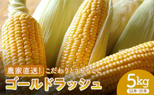 ＜2026年先行予約＞農家直送！こだわりトウモロコシ 5kg（12本～15本）ゴールドラッシュ とうもろこし トウモロコシ 野菜 コーン 野菜 食品 F20E-771