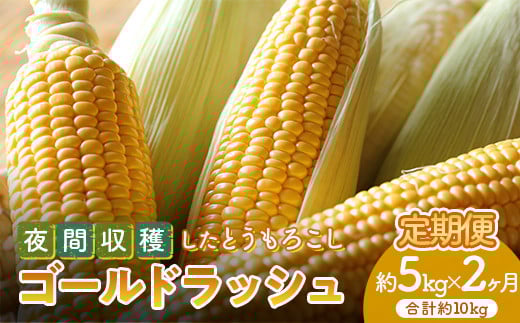 ＜2026年先行予約＞【定期便】夜間収穫したとうもろこし ゴールドラッシュ (各約5kg)《2ヶ月連続》 2L トウモロコシ とうもろこし コーン ゴールドラッシュ 定期便 野菜 食品 F21E-068