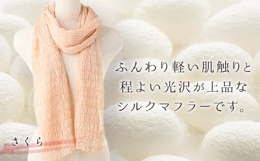 シルクシャーリングマフラー (草木染め)＜さくら＞ シルクマフラー 絹織物 富岡産 絹糸 草木染め  ファッション 工芸 贈り物 ギフト F20E-064
