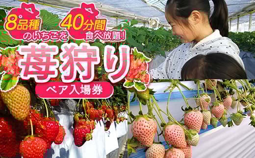 ＜高田いちご園＞ 苺狩りペア入場券(2名様) 食べ放題 いちご狩り 高田いちご園 ペア 入場券 2名 いちご 苺 イチゴ フルーツ 果物 体験 F21E-083