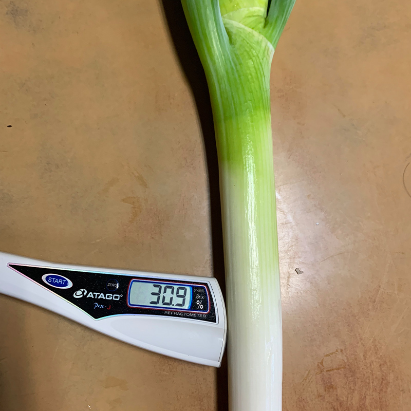 逕ー闊弱ョ縺ュ縺趣シ15譛ャシ 邉門コヲ30 髟キ繝阪ぐ 髟キ縺ュ縺 髟キ闡ア 縺ュ縺 繝阪ぐ 譛画ゥ溯ぇ譁 驥手除 鬟溷刀 F21E-023