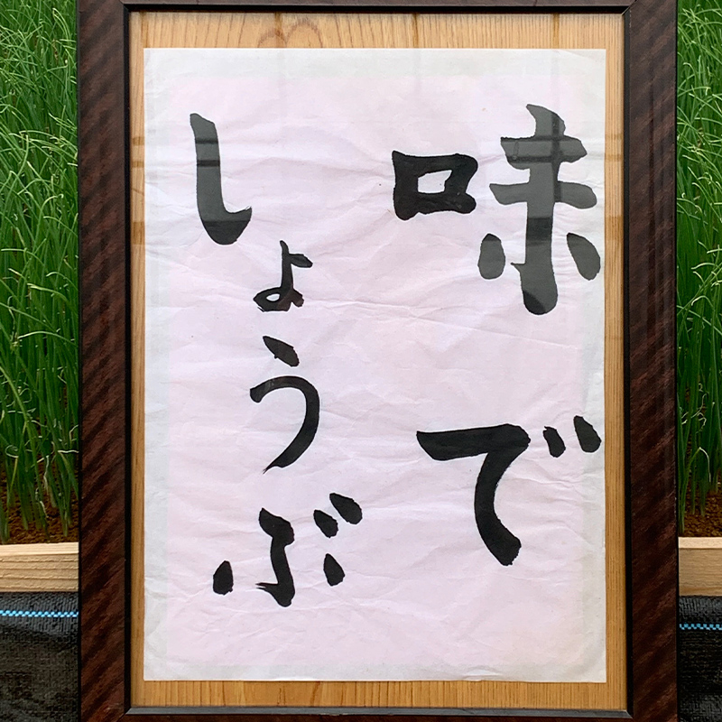 逕ー闊弱ョ縺ュ縺趣シ15譛ャシ 邉門コヲ30 髟キ繝阪ぐ 髟キ縺ュ縺 髟キ闡ア 縺ュ縺 繝阪ぐ 譛画ゥ溯ぇ譁 驥手除 鬟溷刀 F21E-023