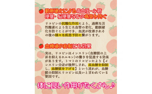 鄒弱サ繝医槭ヨ蟇貞、ゥ繧ケ繝シ繝30鬟 F20E-967