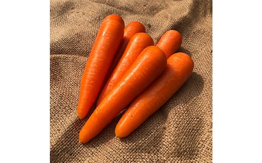 âªå
è¡äºçŽâ«åŠçŸ©å±±ã®éº ã«ããã 2kg çé®®é£å éè 人å ãã³ãžã³ ææ©è¥æ çã ç
®ç© ããæã æ¬ ãåãå¯ã 矀銬ç å¯å²¡åž F21E-195