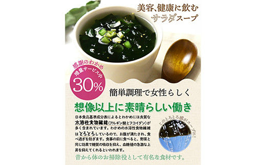 すごい元気わかめスープ 合計2セット(4g×30食) 小分け わかめ スープ 温活 美容 食品 F20E-813