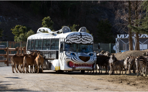 群馬サファリパーク利用券（寄附金額の3割相当分） F20E-200