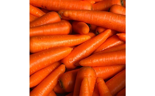 âªå
è¡äºçŽâ«åŠçŸ©å±±ã®éº ã«ããã 2kg çé®®é£å éè 人å ãã³ãžã³ ææ©è¥æ çã ç
®ç© ããæã æ¬ ãåãå¯ã 矀銬ç å¯å²¡åž F21E-195