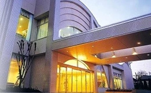 富岡市内ホテル・旅館・民宿利用券(3割相当額) 東雲館 ホテルアミューズ富岡 妙義グリーンホテル＆テラス 妙義ひしや旅館 宿泊券 利用券 クーポン チケット ホテル 旅館 民宿 トラベル 旅行 観光 F20E-206