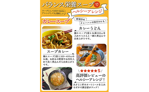 ヘルシースタイルスープ4種類 (36食×2セット) スープ 小分け カレー 玉ねぎ オニオン わかめ みそ 食べ比べ セット 詰合せ 食品 F20E-828
