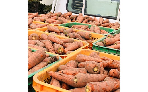 âªå
è¡äºçŽâ«åŠçŸ©å±±ã®éº ã«ããã 2kg çé®®é£å éè 人å ãã³ãžã³ ææ©è¥æ çã ç
®ç© ããæã æ¬ ãåãå¯ã 矀銬ç å¯å²¡åž F21E-195