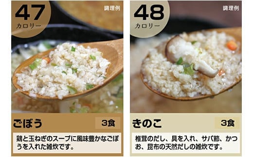 ヘルシースタイル雑炊18食セット 合計2セット(6種×3) 雑炊 和風生姜 海鮮シーフード うま辛チゲ スパイシーカレー ごぼう きのこ ヘルシー たんぱく質 食物繊維 美容 食べ比べ セット 詰合せ 食品 F20E-811