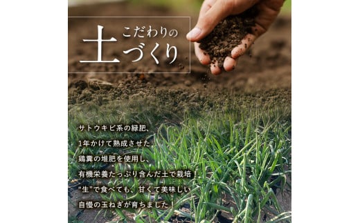 ïŒ2026幎çºé å
è¡äºçŽïŒçãããæ°é®®çãã 10kgïŒ2026幎6æ20æ¥ïœ6æ30æ¥é åºè·ïŒ æžèŸ²è¬æž ååŠè¥æ çé£ ããŸãã çãã ã¿ããã® éè é£å F21E-206