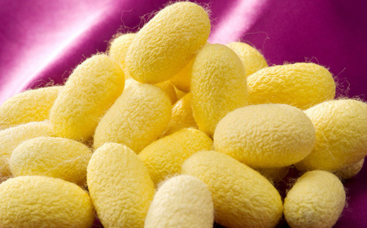 å°éŒ»çŸäººãã©ã·ïŒé»éïŒãŠãšããã¿ã€ã F20E-550