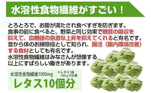 ヘルシースタイル雑炊18食セット 合計2セット(6種×3) 雑炊 和風生姜 海鮮シーフード うま辛チゲ スパイシーカレー ごぼう きのこ ヘルシー たんぱく質 食物繊維 美容 食べ比べ セット 詰合せ 食品 F20E-811