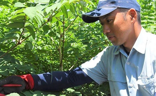 âªå
è¡äºçŽâ« å±±èã®çæ§ ããã®èœ (300g) ïŒ2026幎1æããé æ¬¡çºéïŒ ããã®èœ ã¿ã©ã®èœ ãããŸæ¥çNT å±±è éè é£å F20E-770