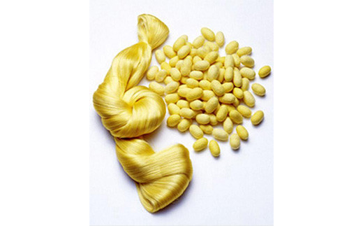 å°éŒ»çŸäººãã©ã·ïŒé»éïŒãŠãšããã¿ã€ã F20E-550