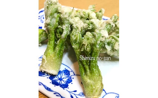 âªå
è¡äºçŽâ« å±±èã®çæ§ ããã®èœ (300g) ïŒ2026幎1æããé æ¬¡çºéïŒ ããã®èœ ã¿ã©ã®èœ ãããŸæ¥çNT å±±è éè é£å F20E-770