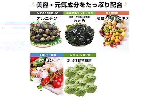 すごい元気わかめスープ 合計2セット(4g×30食) 小分け わかめ スープ 温活 美容 食品 F20E-813